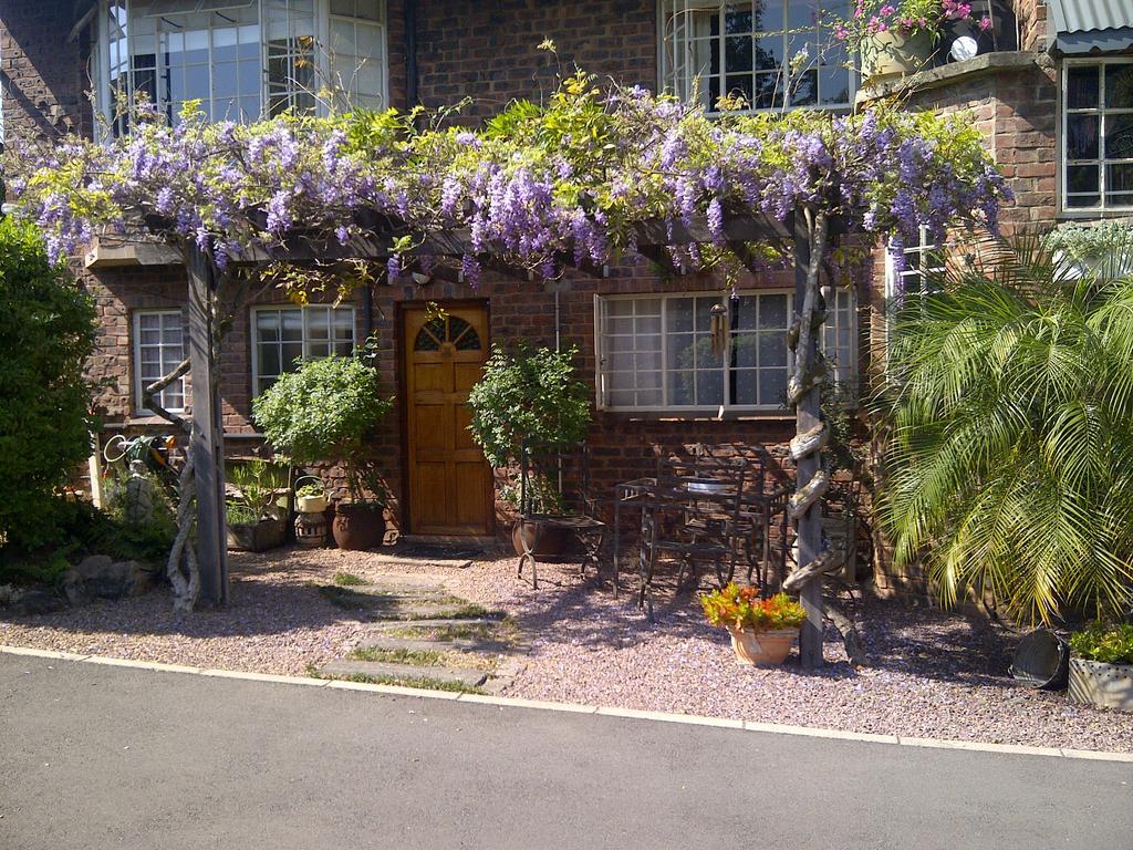 Babbling Brook Bed & Breakfast 피터마리츠버그 외부 사진