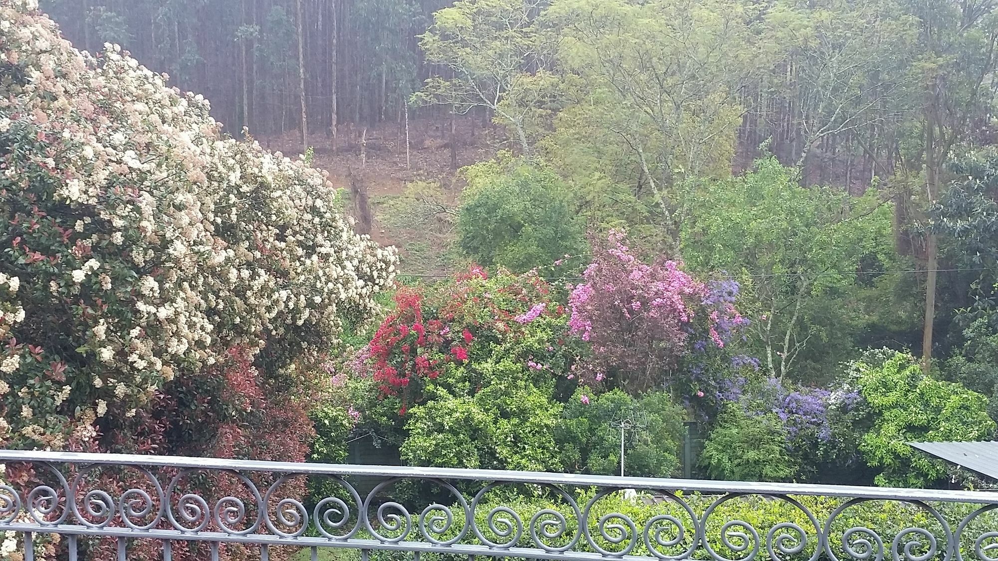 Babbling Brook Bed & Breakfast 피터마리츠버그 외부 사진